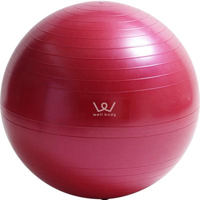 Фитнес-мяч ALINCO 55 см (розовый) WBN055P
