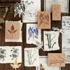 JIAMEI Selection Time Series Retro Plants Bird Scenery Beech Wood Seal DIY Journaling Scrapbook Aesthetic Decoration Seal