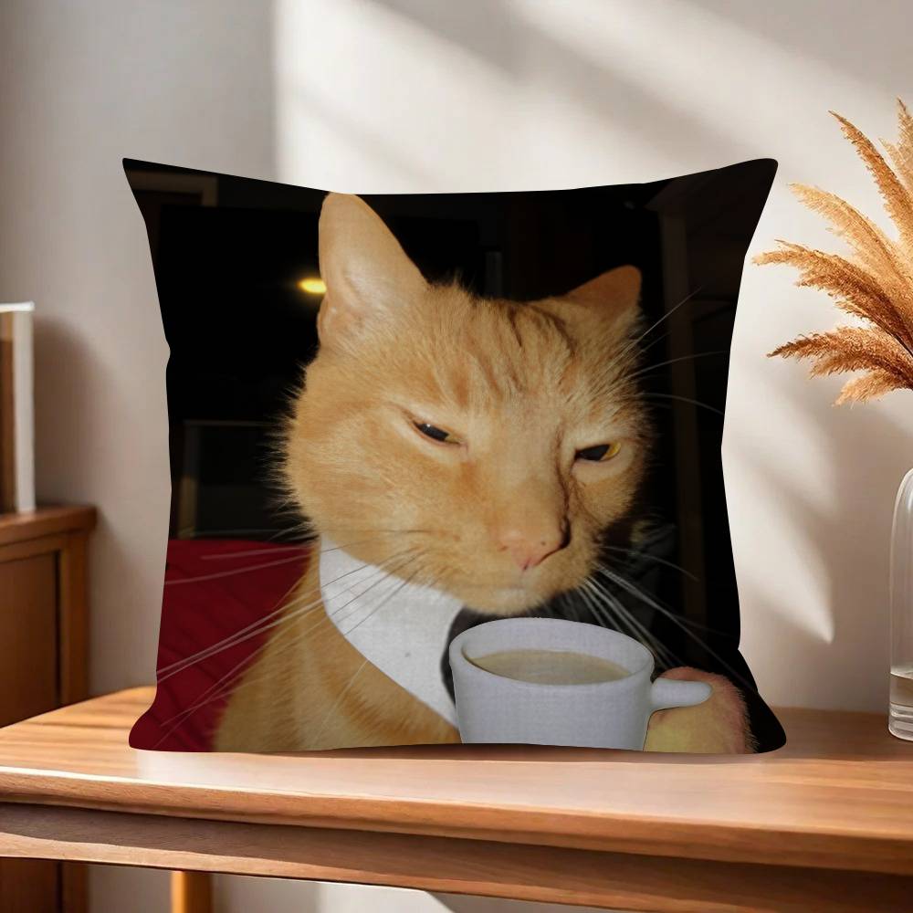 Funny Cat MMeme cm Cushion Cover Pillow Cover Decor Pillowcase Home Pillowcase for Couch Pillow