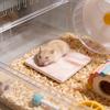 Square Hamster Cooling Pad Chew-proof and Tip-resistant Cooling Mat Cooling Pad for Hamsters Small Pet Easy To CleanGood product