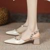 Fashion 2025 Summer New Kitten Heel French Niche Block Heel Pointed Toe Rivet Wrapped Head Back Empty Sandals for Women