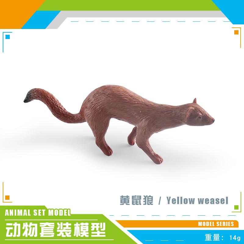 Имитация лесного животного, сурок, древесная лягушка, крокодил, коала, ласка, саламандра, скунс, барсук, статичный орнамент