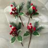 Natural Dried Pine Cones for Christmas Tree Decoration, Photography Props, Floral Wreaths, and Bouquets.