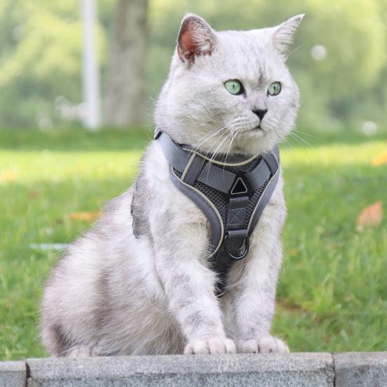 Yousheng Cat Harness And Leash Reflective Strips Jacket Breathable Adjustable Vest Harness Escape Proof Easy Control Leash for Cats