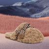 UGG Нескользящие закрытые тапочки женские Каштановые 1158266-CHE