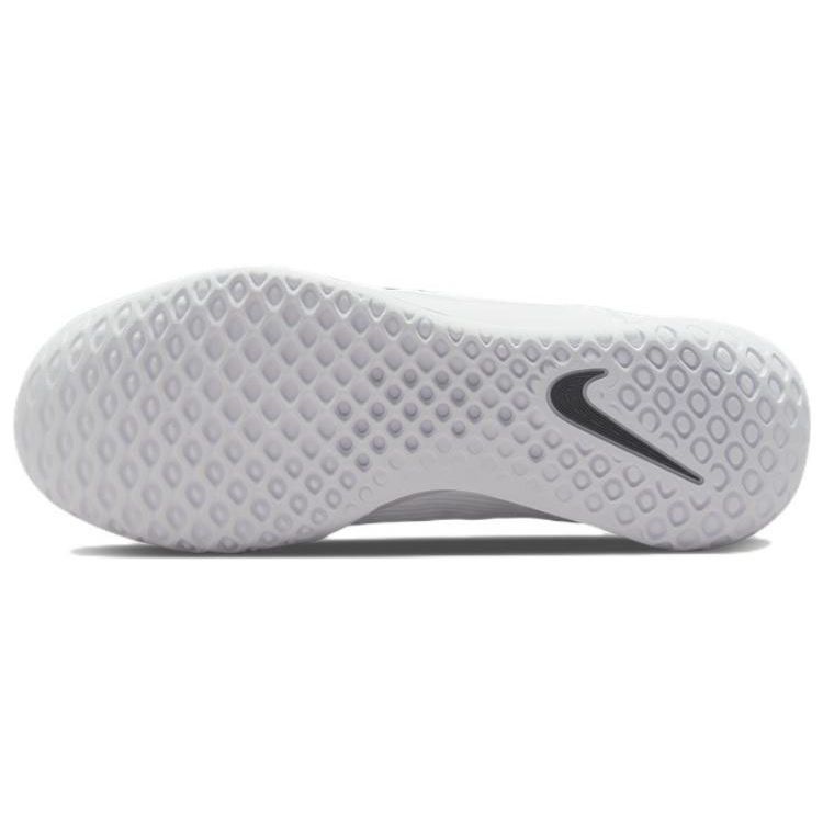 Nike Мужские кроссовки Court Zoom NXT Белый Черный DH0219-100