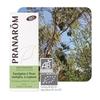 Pranarom Huile Essentielle Bio Eucalyptus à Cryptone 10 мл