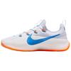 LeBron TR 1 Чистый платиновый Фото-синий Оранжевый FJ6151-005