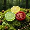 Mini Resin Fruit Slice Pack 10Pcs Simulation Watermelon Lemon for DIY Dollhouse Decor Kids Craft