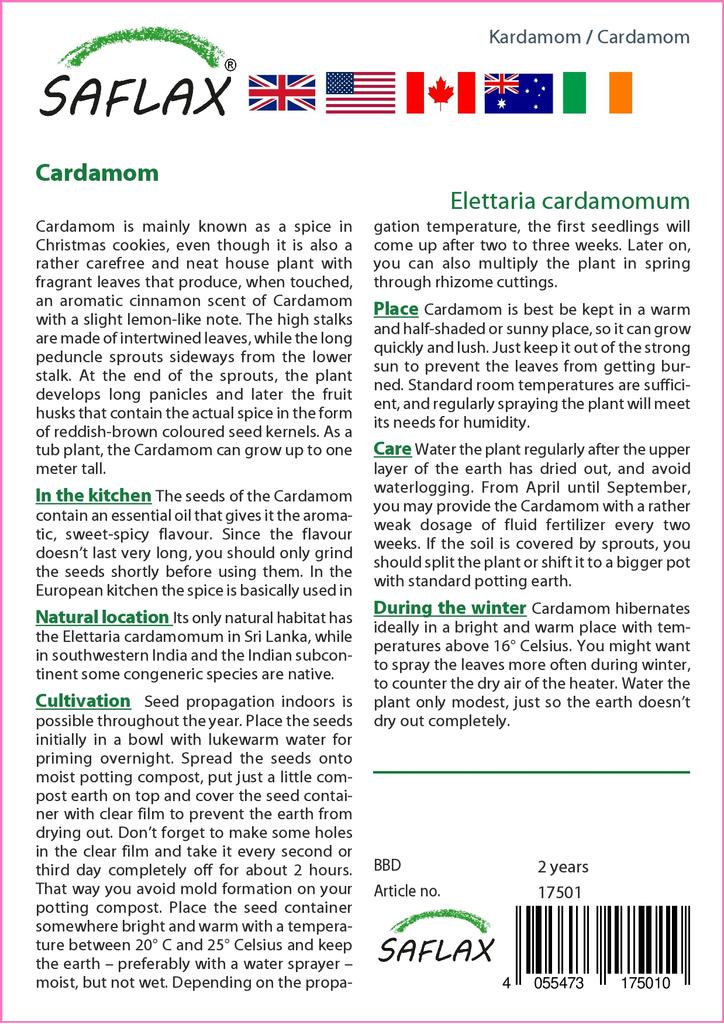 SAFLAX Garden in the Bag - Кардамон - 20 семян - С субстратом в подходящем пакете - Elettaria cardamomum