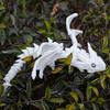 1Pcs 3D Printing Flying Dragon Wing Handicraft Ornaments Figurine Art Deco Resin Dragon Sculpture Tabletop Animal Theme Decor