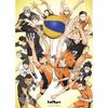 Ensky К ВЕРШИНЕ 38 x 53 см Пазл 1000 деталей ПАЗЛ Haikyu!! Открытие!! 1000c-09