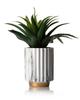Wazon Blum Marabeling Gold 12 Cm