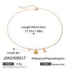 Zircon Starfish Pendant Necklace Titanium Steel Collarbone Chain Minimalist High-End Fashion Jewelry for Women