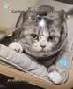 Прозрачный космический шлем для кошки - Дышащий, устойчивый к царапинам и укусам, с ушками