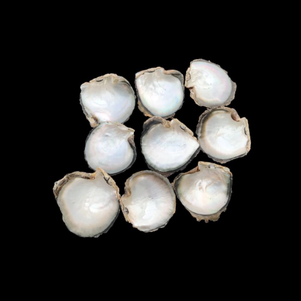 Естественный цвет радуги. Размер от 3 до 4 дюймов. Большая ракушка из волдыря реки Теннесси, ракушка радужного морского ушка, ракушка речного моря, ракушка из целебного жемчуга.