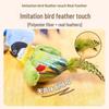 Cat Teaser: Feather Bird Toy for Kitten Chewing, Scratching, and Self-Entertainment