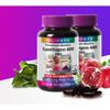 Holidays Zantigen 600, 30 Tablets, 1 Pack - Premium Fat Burning Supplement