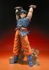 Dragon Ball Z Figuarts ZERO Сон Гоку -Генкидама-
