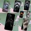 Чехол Pit Bull Lovely Dog Pitbull Для OPPO A78 A98 A18 A38 A58 A5 A6 Pro A15 A17 A57 A16 A76 A96 A54 A74 A94 A40 A60 A80