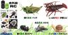 Doyusha Infrared RC Insect Series Lobster Electric Infrared Control No. 7703