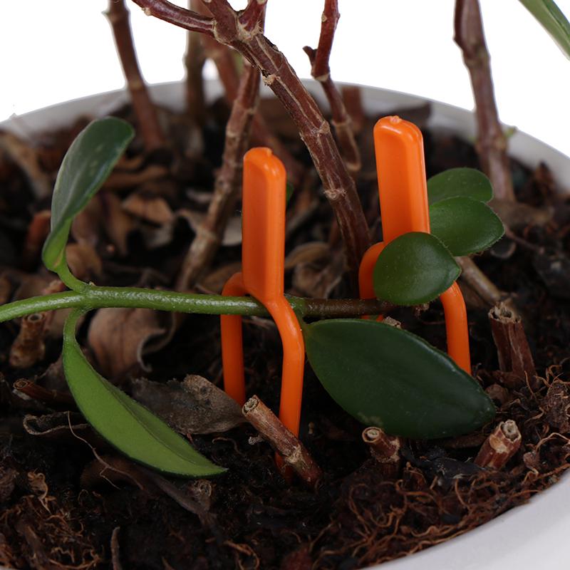 50 шт. Пластиковые зажимы для растений, фиксирующие зажимы, зажимы для клубники