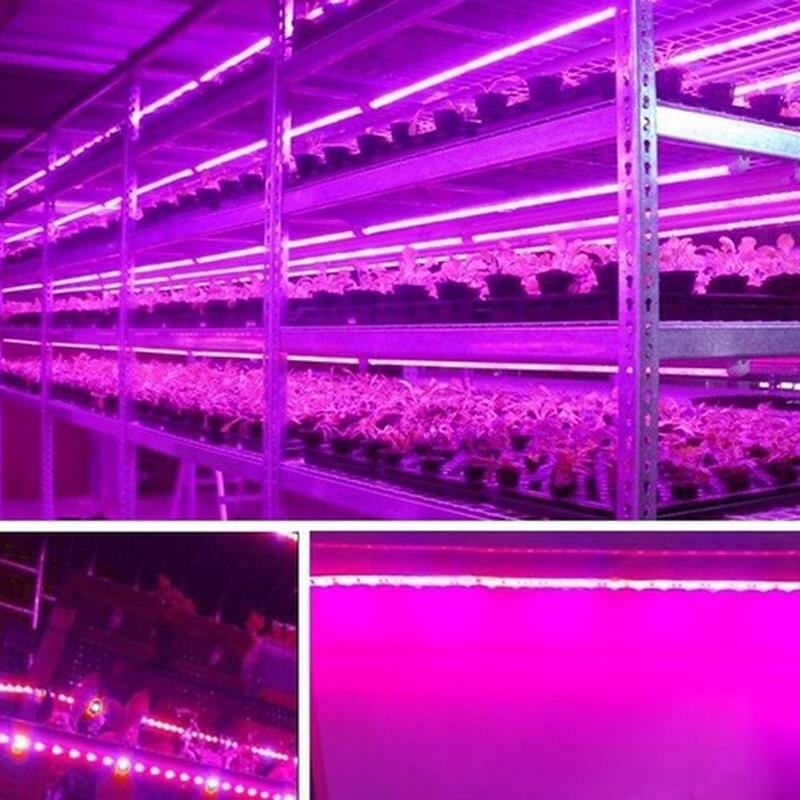 USB LED Full Spectrum Phyto Lamp USB 5V Grow Light Strip 1m 2m 3m 2835 SMD Plants Flowers LED Hydroponic Garden Plants Growing