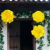 NEW Yellow Color Simulation Flower 3D Multi Size Artificial Flower Flower Head Garden Style Artificial Rose Interior Design