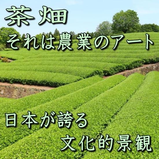 Mino ware Японская столовая посуда Чайная плантация 13 см Набор из 5 мисок Сделано в Японии Можно использовать в микроволновой печи Можно мыть в посудомоечной машине Маленькая миска