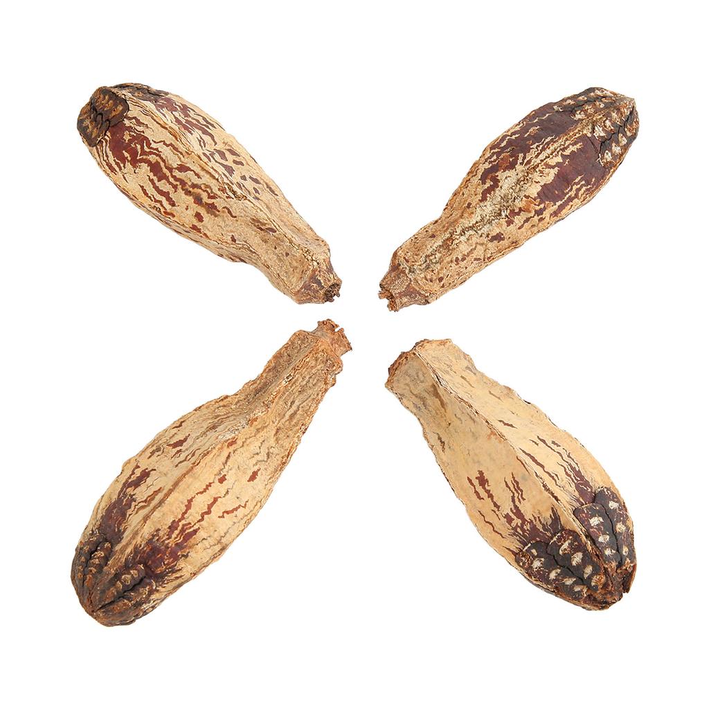 5 Bag Parrot Chew Nuts Relieve Boredom Sharpen Mouth Natural Home Decorative Dried Nut