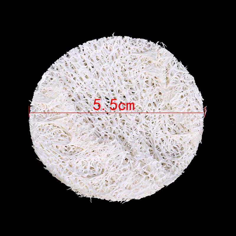 10X Natural Loofah Luffa Facial Complexion Skin Disc Disk Pads Exfoliator Sponge