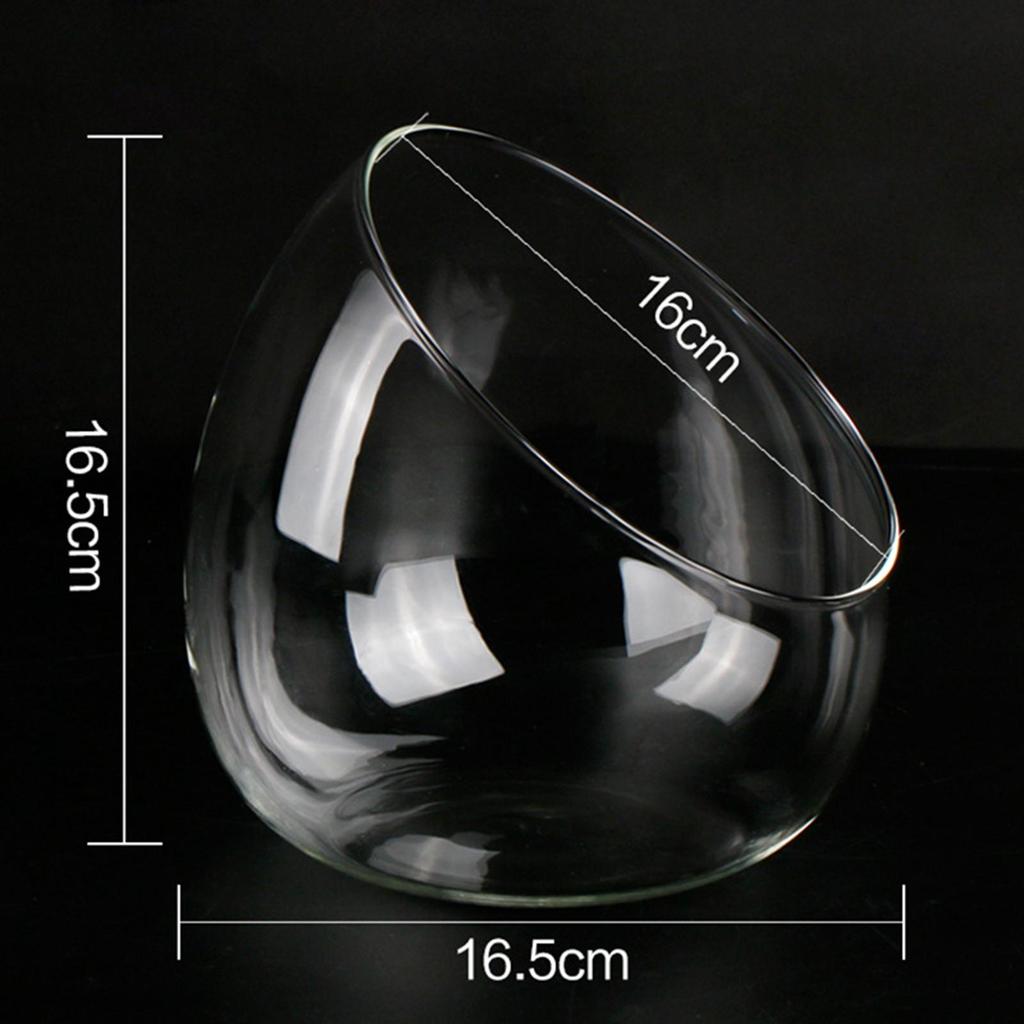 Стеклянная ваза с наклонной головкой, контейнер для микроландшафтного дизайна, стеклянная чаша для террариума, украшение для вечеринки, сада, свадьбы