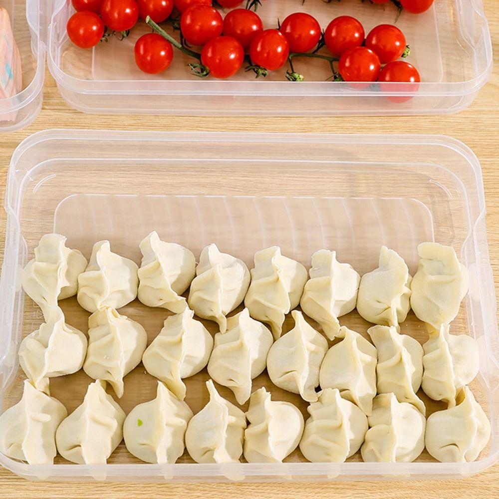 Transparent Dumpling Box Multi-Layer Food Freezer Storage Box Food Egg Frozen Box Refrigerator
