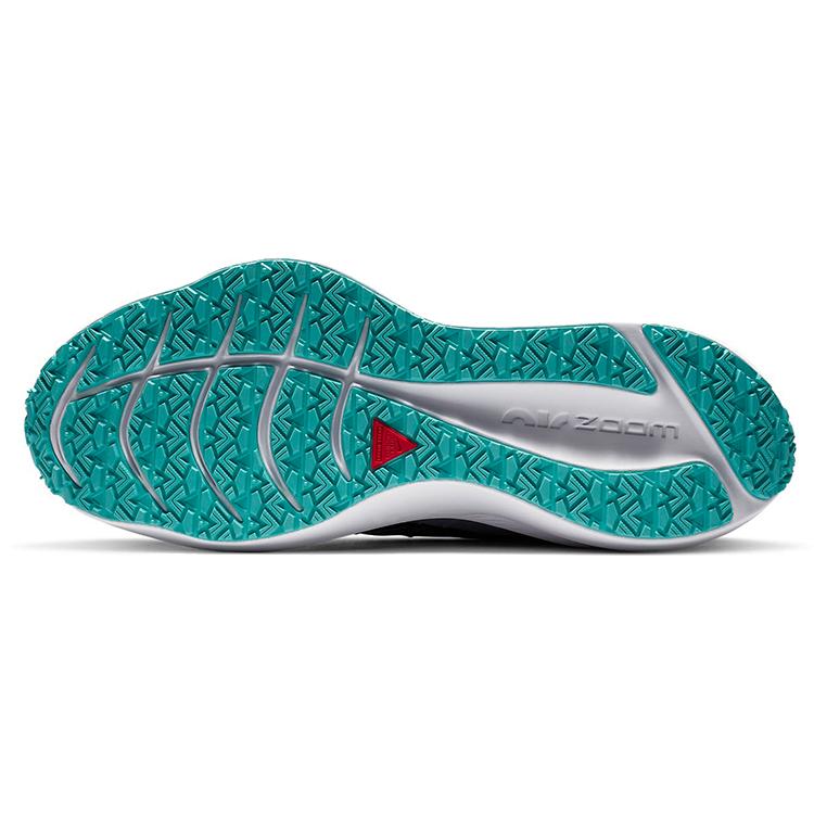 Nike Женские кроссовки Winflo 7 Shield Obsidian Mist CU3868-403