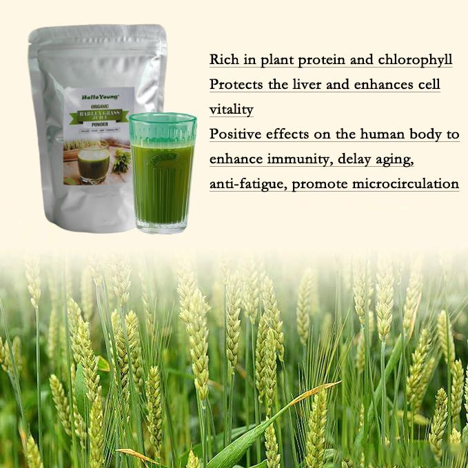 Organic Barley Powder 100% Pure and Natural, No Additives and Preservatives Pure, Kosher, Vegan, Bulk. Good Source of Fiber, Protein