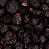 Powerki Vitapol - Borówka Liofilizowana 20 G - Naturalny Przysmak Dla Papug | 100% Owoc