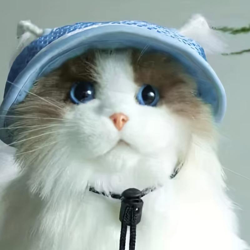 Дышащая шляпа для питомца, солнцезащитная шляпа для кошки, с бантом, в стиле принцессы, с отверстиями для ушей, собачья кепка для кошек и собак