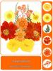 Autumn Collection: Handmade Transparent Specimen Bottles with Dried Flowers and DIY Bookmark Lamination Film for Students.