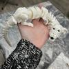 Фигурка Счастливого Дракона, напечатанная на 3D-принтере, с открытым ртом, идеально подходит для декора гостиной, спальни, уникальная идея праздничного подарка, настольное украшение