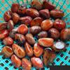 Twisted Red Agate Nanjing Yuhua Stone for Fish Tanks, Succulent Display, and Souvenir Decoration