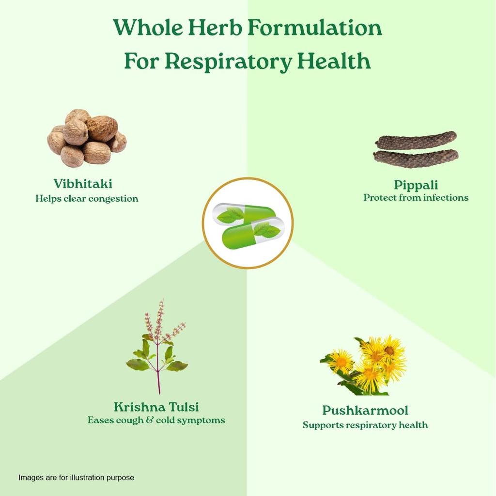 ORGANIC INDIA Breathe Free 60 растительных капсул для комфортного дыхания, облегчения заложенности и поддержки легких, натуральная травяная формула