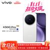 Vivo X300 Pro ИИ Флагманский Смартфон (Китайская версия)