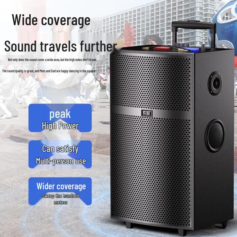 SA-X93 12-дюймовая тележка-караоке-колонка с двумя микрофонами