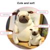 Fat Pug Plush Cushion Soft Superior Texture Full Filled Cute Pug Dog Plush Cushion for Decoration