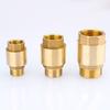 Backflow Prevention Brass Check Valve Pipeline Connection