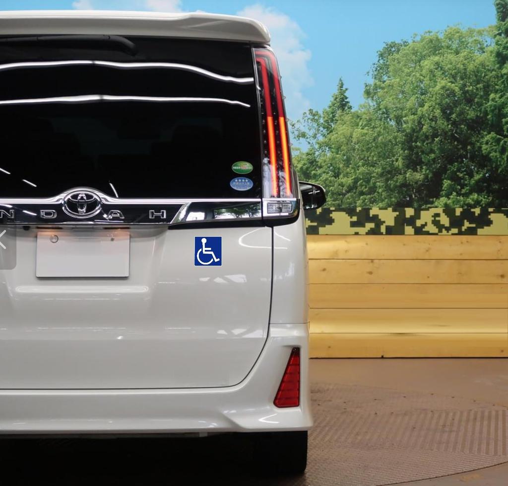 (Соответствует Закону о дорожном движении) Международный символ [Магнит] Устойчивый! Светоотражаемость! (Уход , Инвалидное кресло