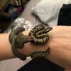 Boys Girls Funny Fun Prank Animal Model Python Snake Tricky  Simulation Animal Model Simulation Snake Gift For Friends