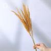 Wabi-Sabi Style Dried Flower Vase with Natural Reeds, Cattails, and Wheat (30-40cm)