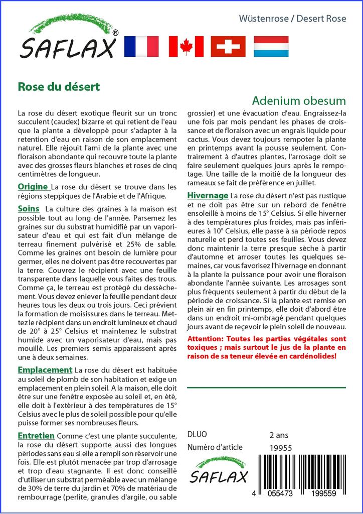 SAFLAX Garden in the Bag - Роза пустыни - 8 семян - С субстратом в подходящем пакете - Adenium obesum