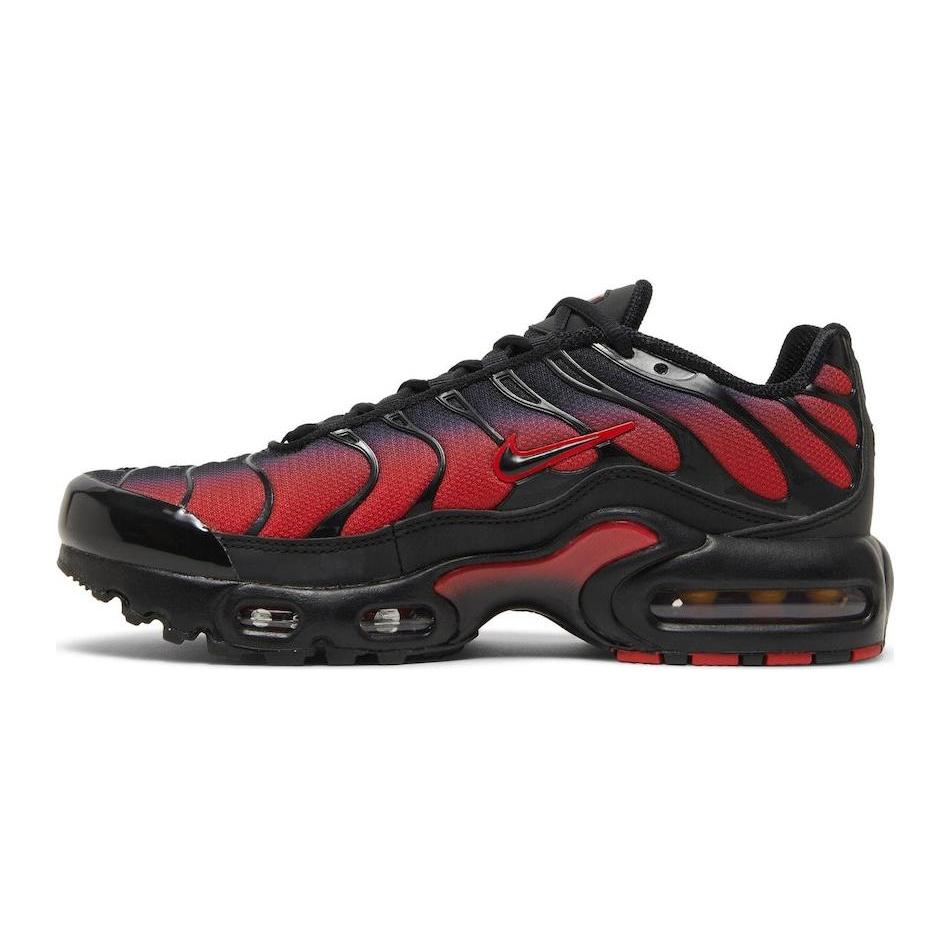 (GS) Детские кроссовки Nike Air Max Plus 'Bred Gradient' FB8024-600